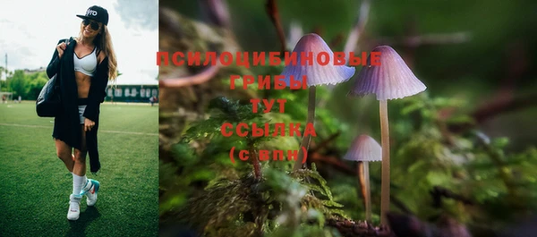 a pvp Медвежьегорск