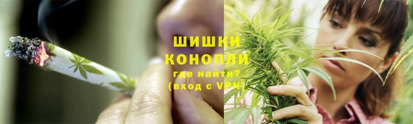 СК Медногорск
