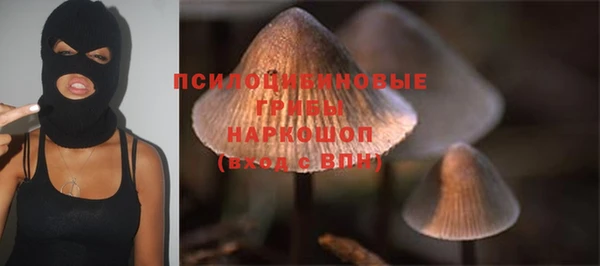 дурь Магас