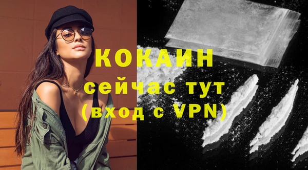 дурь Магас