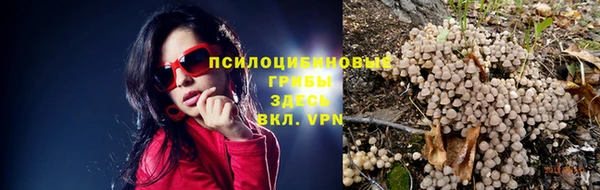 дурь Магас
